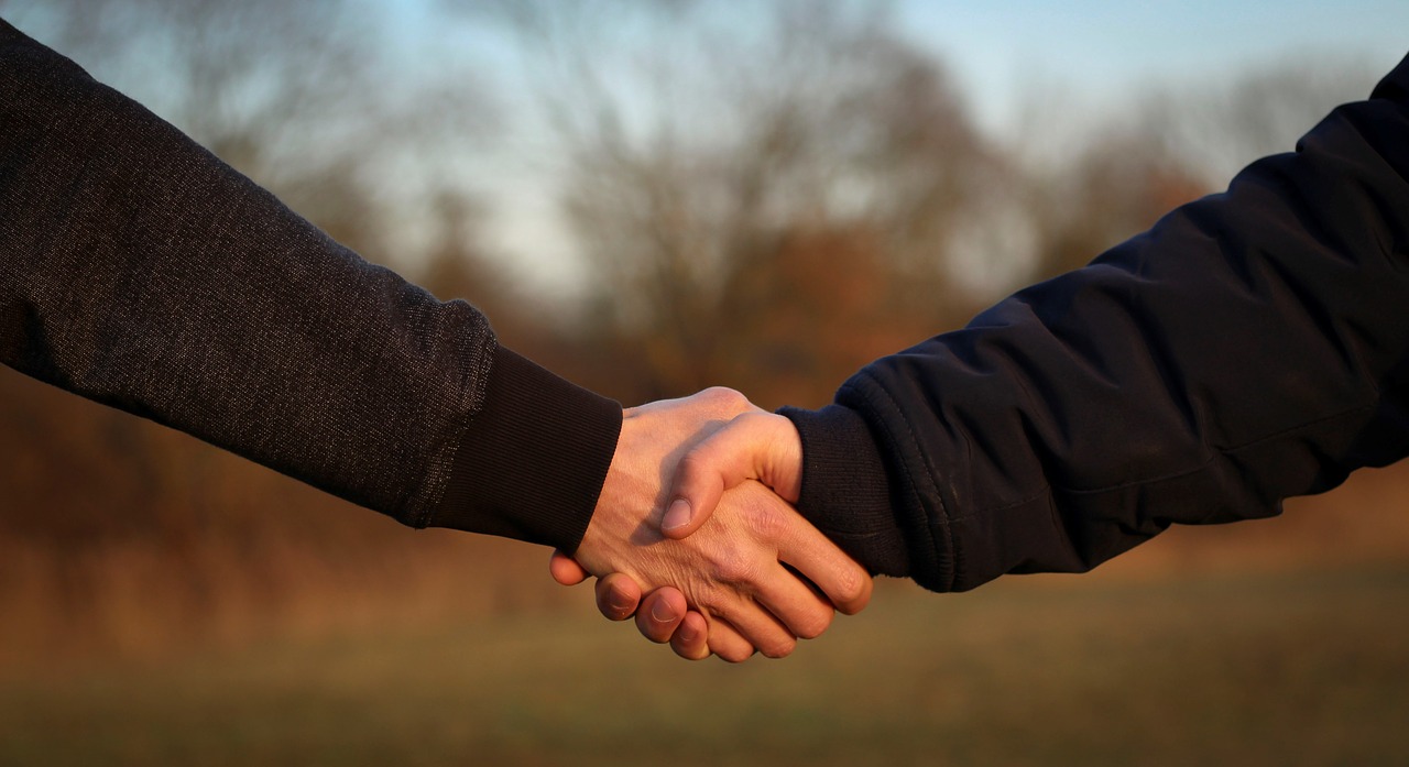 handshake, shake hands, hand holding-4002834.jpg